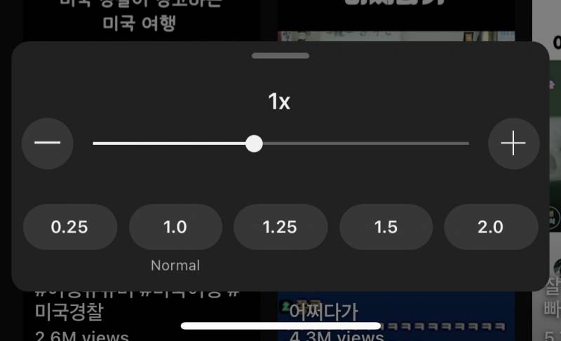 [잡담] 유튜브 재생속도 나만 이걸로 바꼈어? | 인스티즈