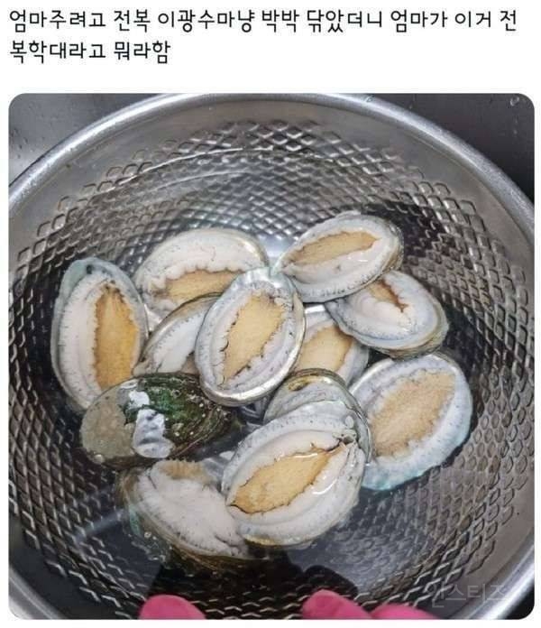 엄마 주려고 전복 박박 닦았는데.jpg | 인스티즈