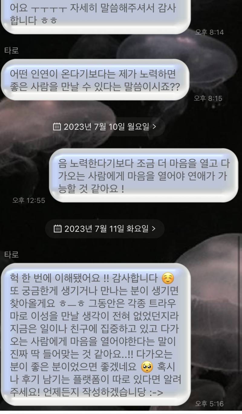 자격증 보유 고퀄 전문가 타로/연애/재회/짝사랑/속마음/팬타로 전문❤️/타로블루/후기 多 | 인스티즈