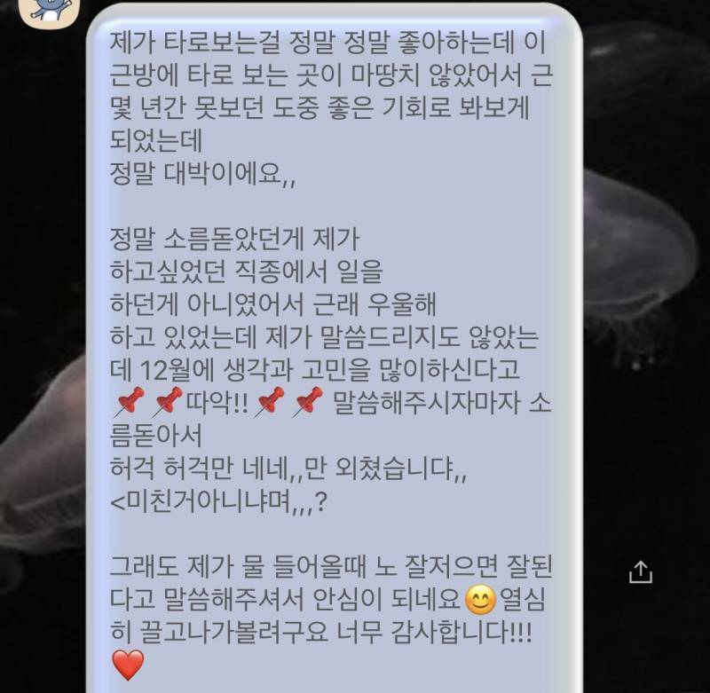 자격증 보유 고퀄 전문가 타로/연애/재회/짝사랑/속마음/팬타로 전문❤️/타로블루/후기 多 | 인스티즈