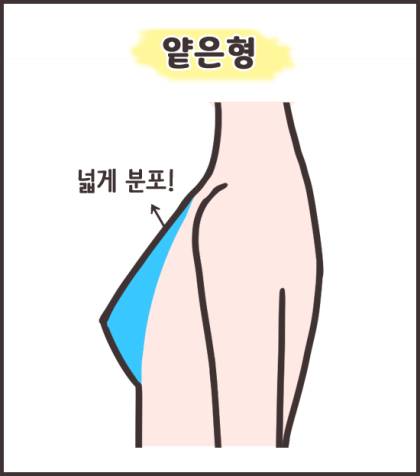 [잡담] 다들 가슴 모양 뭐에 가까워? | 인스티즈