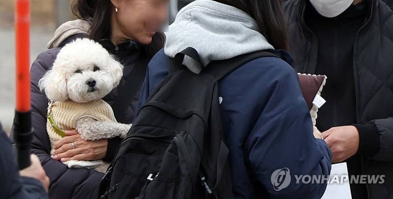 [잡담] 수능 응원하러 나온 강아지 짤들 보고 힐링하고가🤍 | 인스티즈