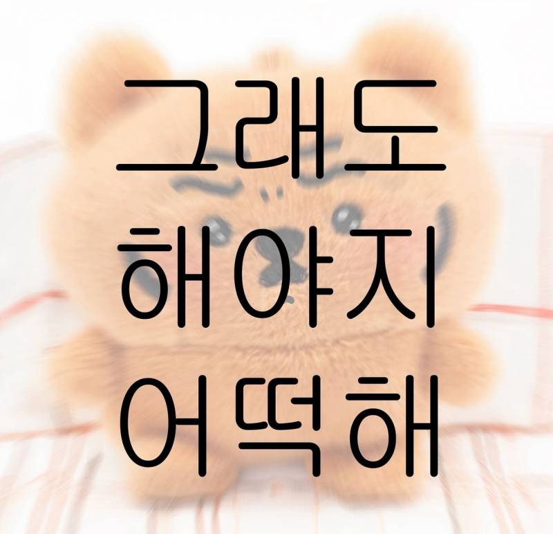 [잡담] 이 짤들 귀엽다ㅠㅠㅠㅠ 공감가는 말도 많아서 가져옴 | 인스티즈