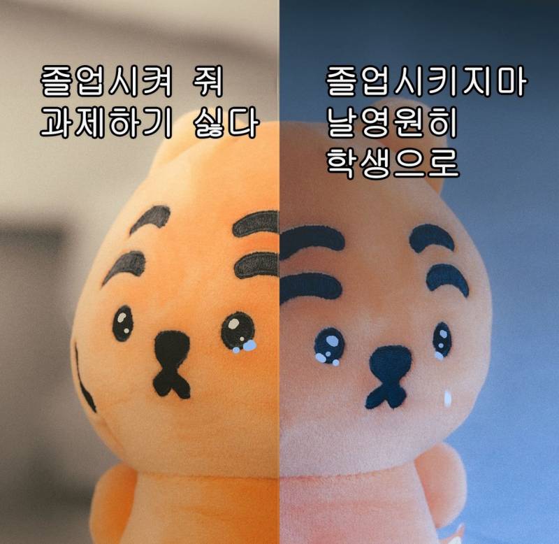 [잡담] 이 짤들 귀엽다ㅠㅠㅠㅠ 공감가는 말도 많아서 가져옴 | 인스티즈