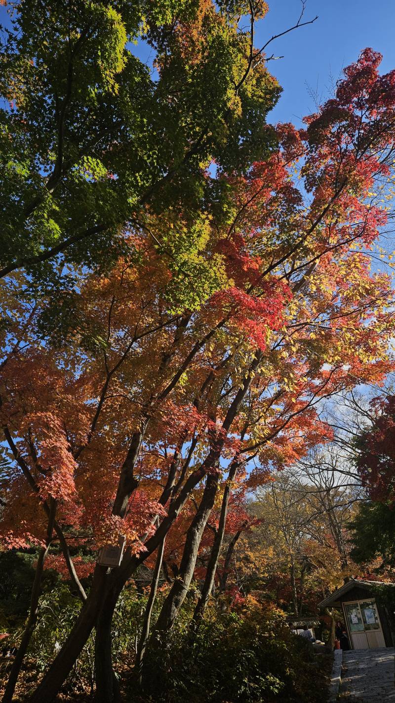 [잡담] 경주여행 첫날 | 인스티즈