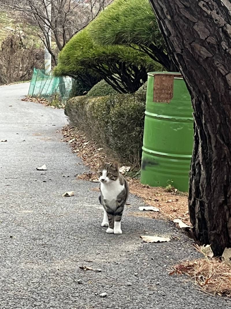 [잡담] 야야 너 양말 짝째기로 신었어!!!!! | 인스티즈