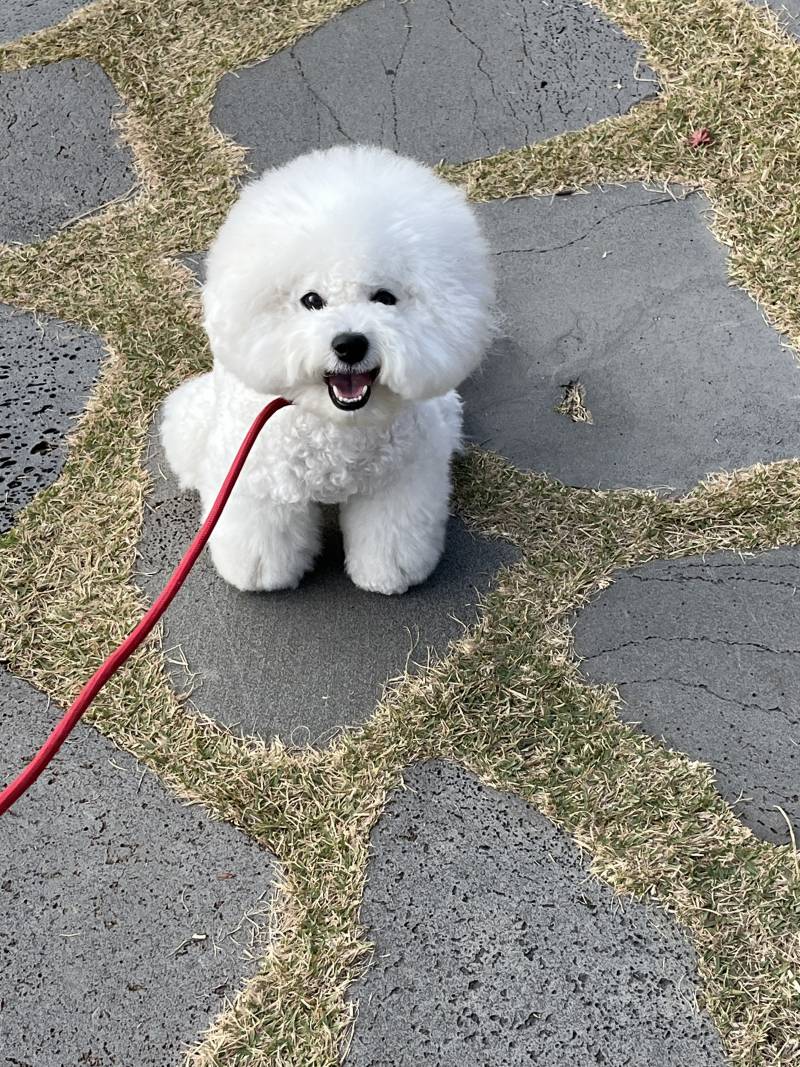 [잡담] 나 모쏠이여도 너무 행복함.. | 인스티즈