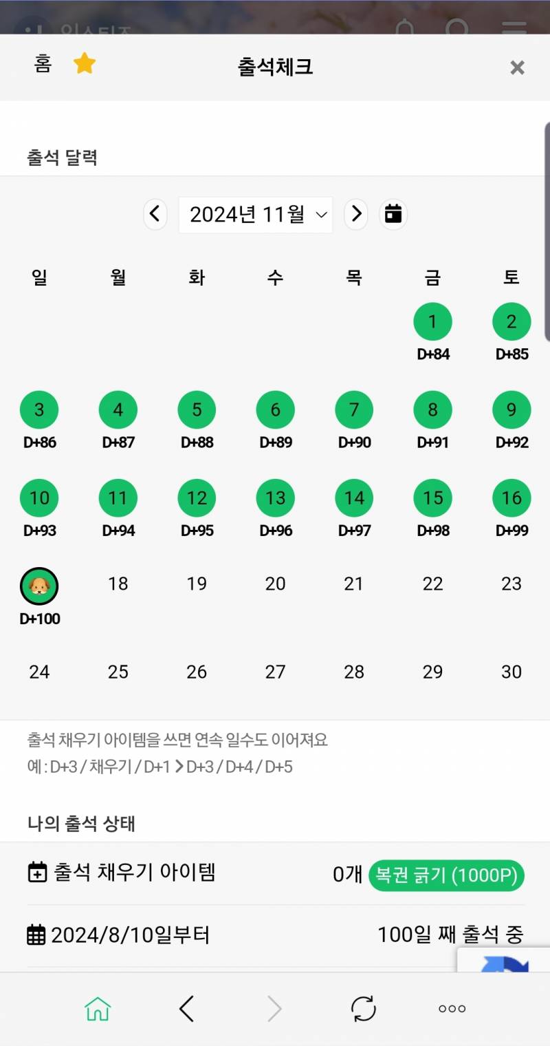 [잡담] 드디어 인티 출석 100일 찍었네.. | 인스티즈