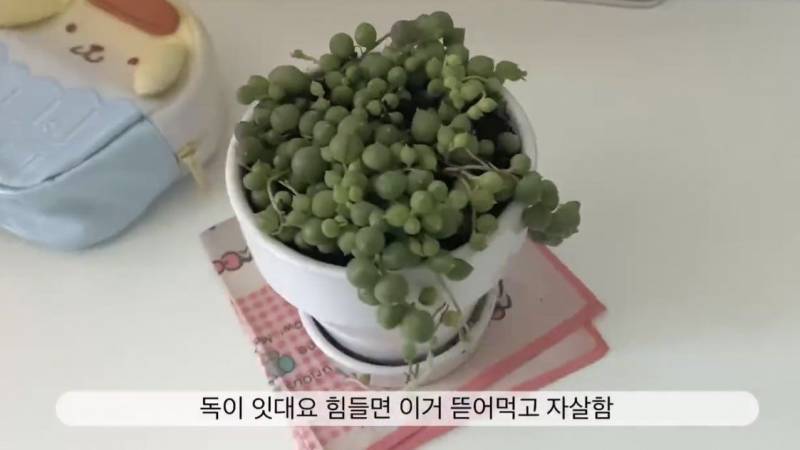 [잡담] 짤 공유함 | 인스티즈