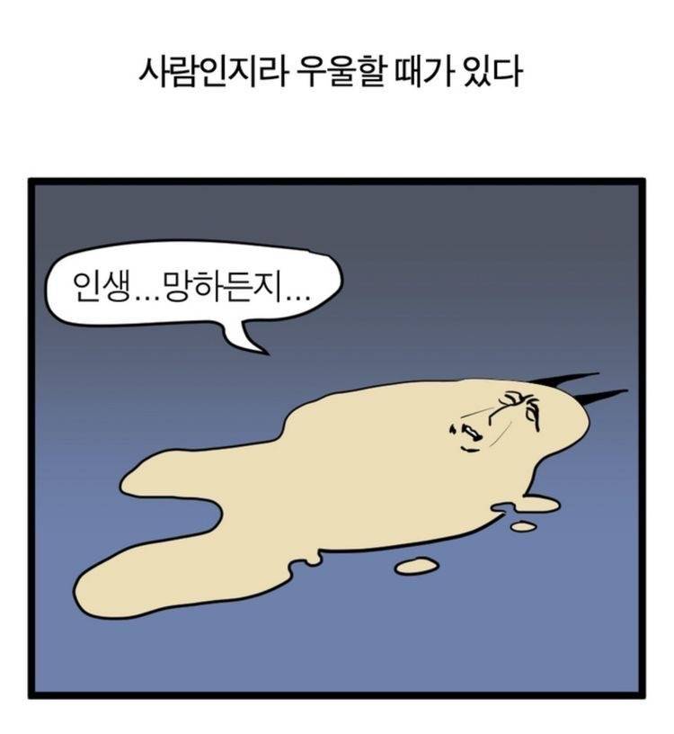 [잡담] 짤 공유함 | 인스티즈