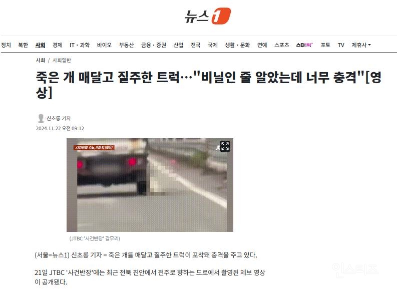 죽은 개 매달고 질주한 트럭…"비닐인 줄 알았는데 너무 충격" | 인스티즈