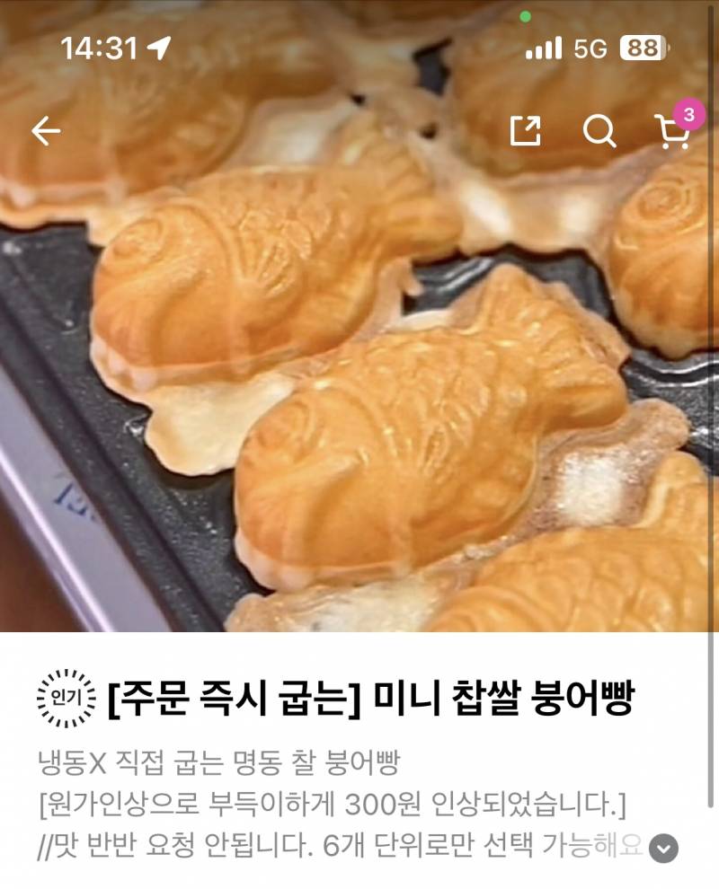 [잡담] 붕어빵 뭐가 더 맛있어보여?? 🍀🍀 | 인스티즈