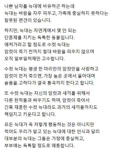 [잡담] 이런 남자 어때 | 인스티즈