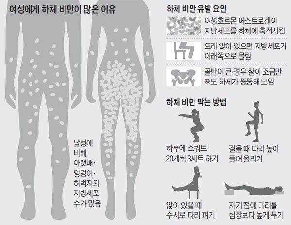 [잡담] 여자 하체비만이 더 많은 이유라니.. | 인스티즈