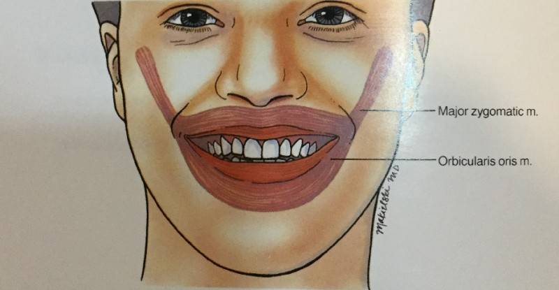 [잡담] 살면서 웃어본 익들아 너네 웃을 때 어떤 근육 쓰면서 웃어??? | 인스티즈