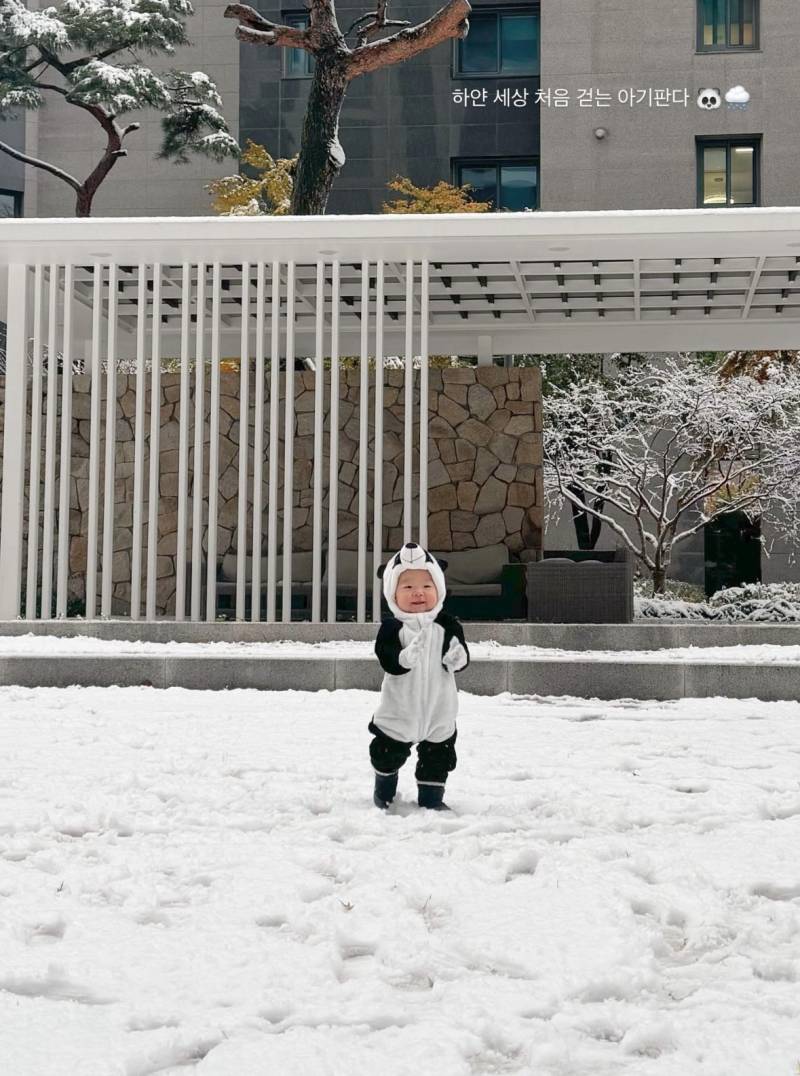 [잡담] 얘들아 제발 아기판다 정은우를 봐줘 | 인스티즈