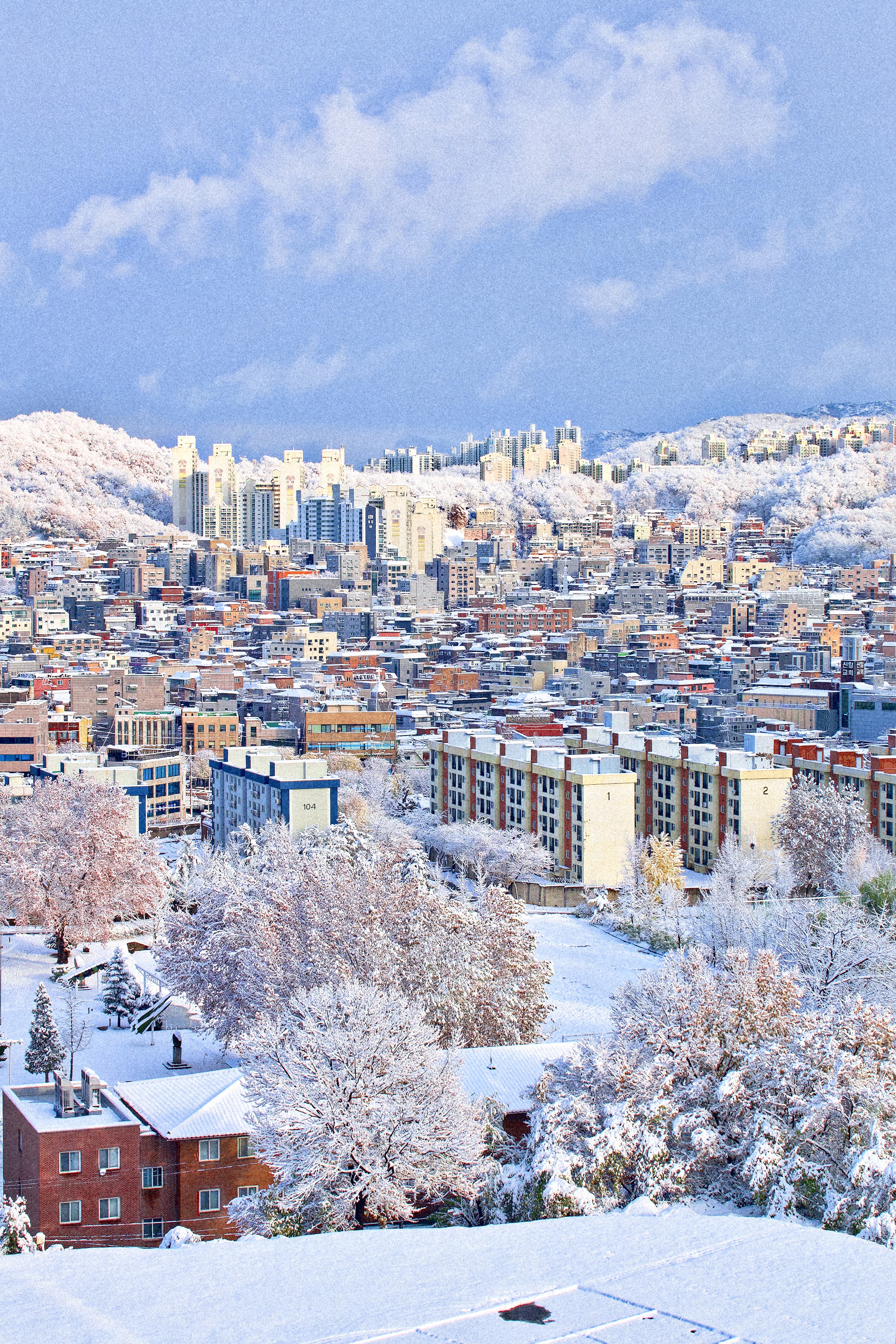 [잡담] 눈 그쳤길래 사진 찍었는데 동화같아...❄️ | 인스티즈