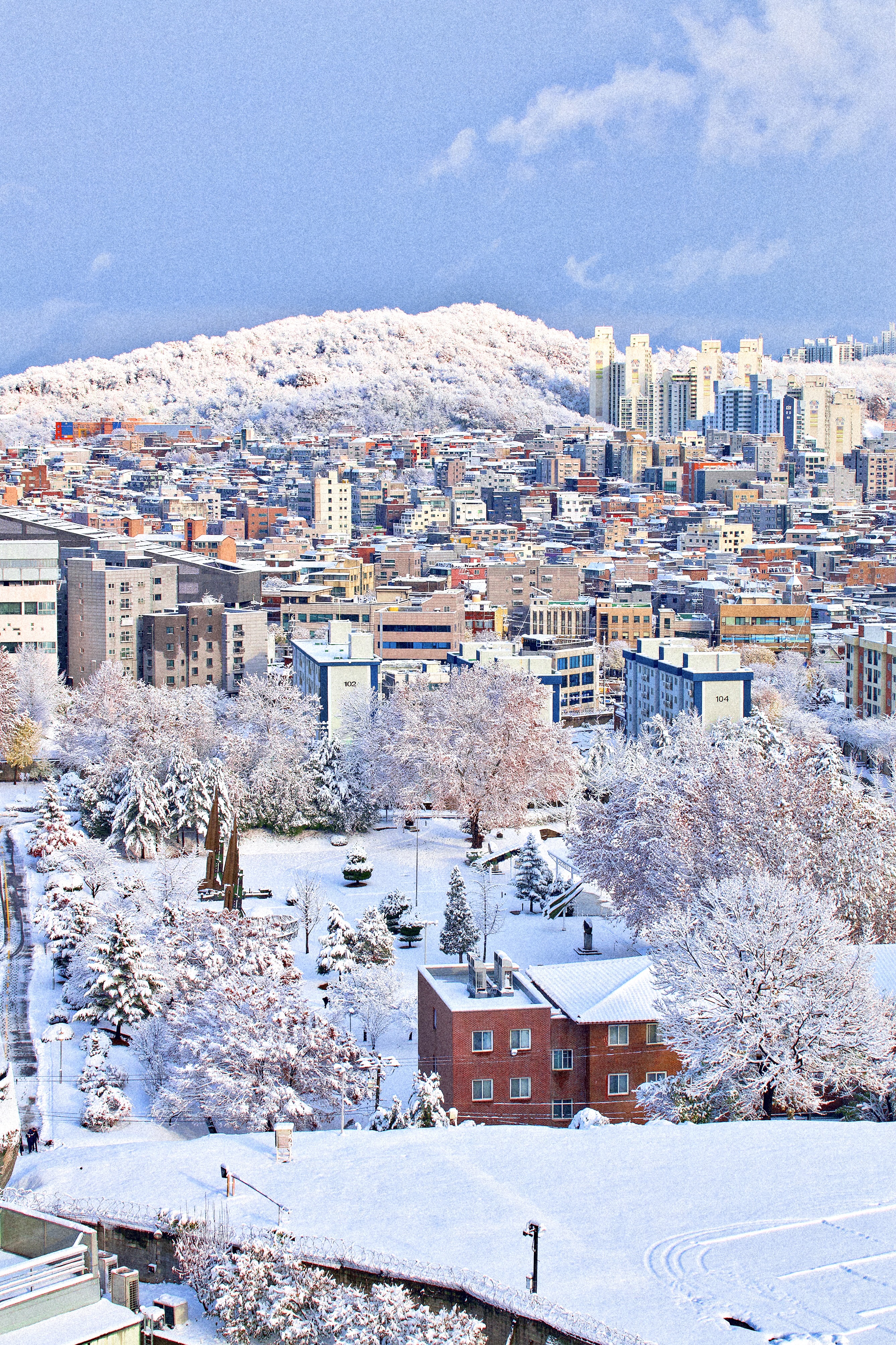 [잡담] 눈 그쳤길래 사진 찍었는데 동화같아...❄️ | 인스티즈