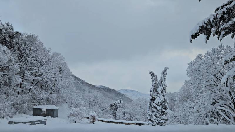 [잡담] 오늘 산 올라가서 찍은 눈❄️☃️ | 인스티즈