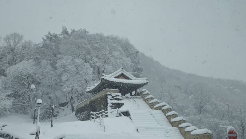 [잡담] 오늘 산 올라가서 찍은 눈❄️☃️ | 인스티즈