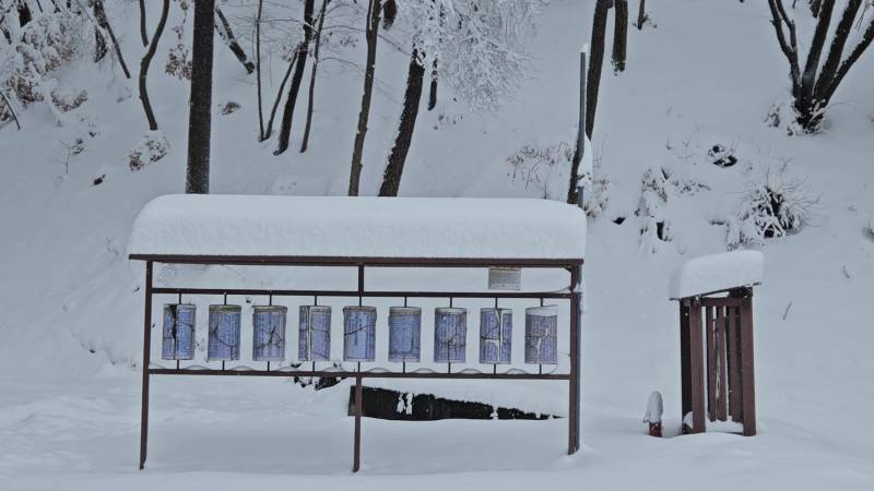 [잡담] 오늘 산 올라가서 찍은 눈❄️☃️ | 인스티즈