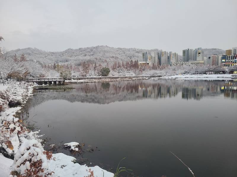 [잡담] 동네 눈쌓인것봐... 완전 설국이네 | 인스티즈