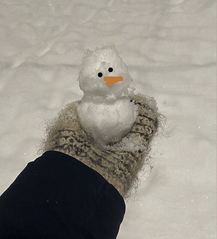 [잡담] 눈사람 만들고 싶은데 눈 어캐 뭉쳐? ☃️ | 인스티즈