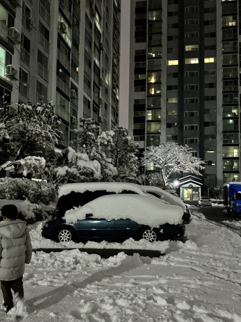 [잡담] 아니 우리동네 눈 왜케 안녹았지 | 인스티즈