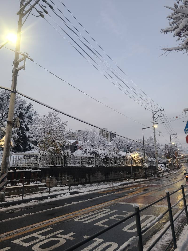 [잡담] 동네 눈쌓인것봐... 완전 설국이네 | 인스티즈