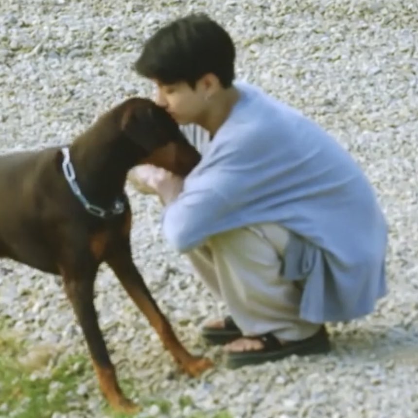 [잡담] 밤이 ㄹㅇ 늠름강아지인데 정국이 옆에서는 세상 아기임ㅜㅜ | 인스티즈