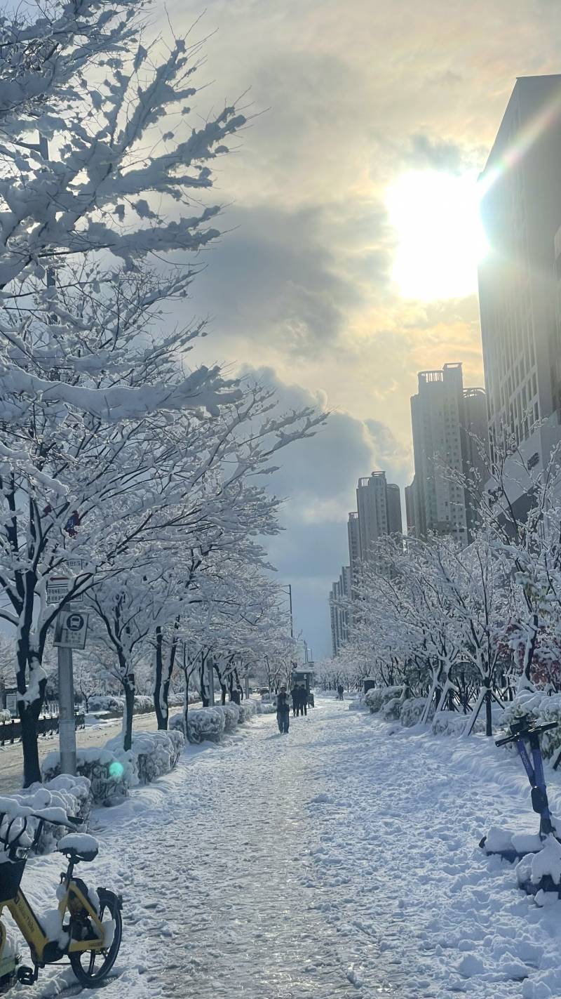 [잡담] 눈 오는 송도 너무 이뻐☃️❄️ | 인스티즈