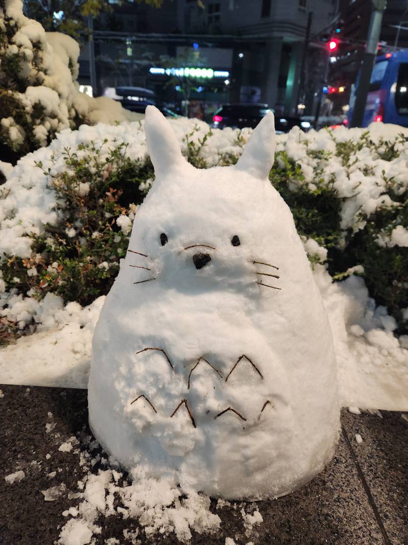 [잡담] 토토로 눈사람🩶🌱⛄️ | 인스티즈