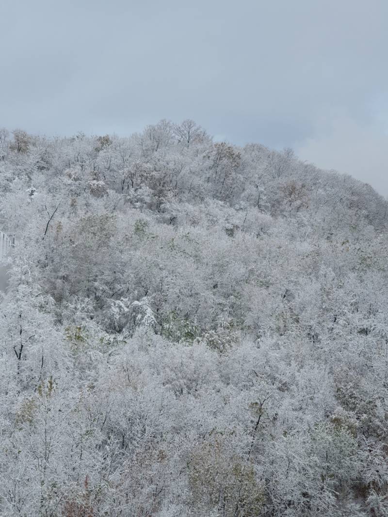 [잡담] 우리집 옆 산에 눈 쌓였어 | 인스티즈