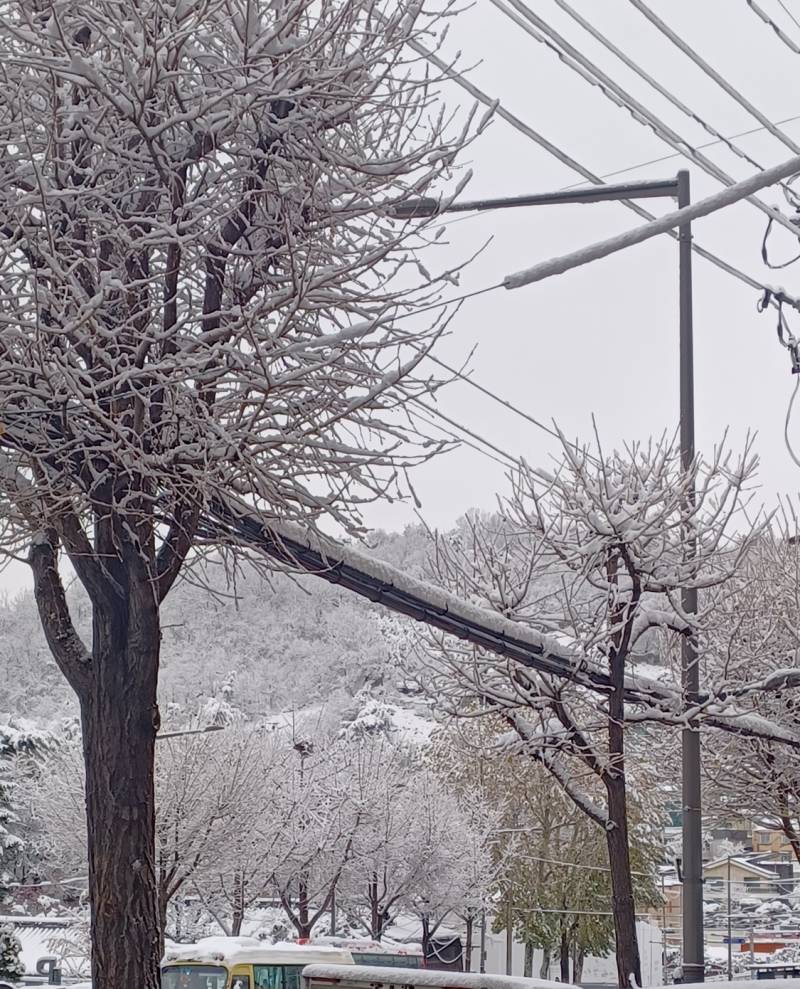 [잡담] 우리 학교 눈온거 볼래? | 인스티즈