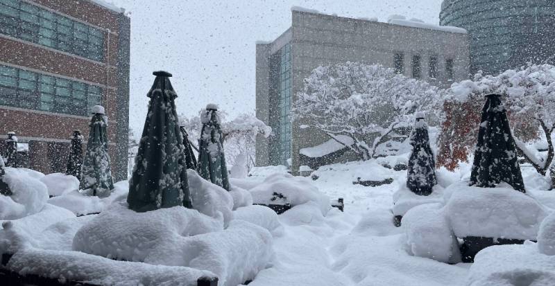 [잡담] 오늘 아침 &gt;&gt;NEW ❄️☃️ 여기 재난이야 살려줘 | 인스티즈