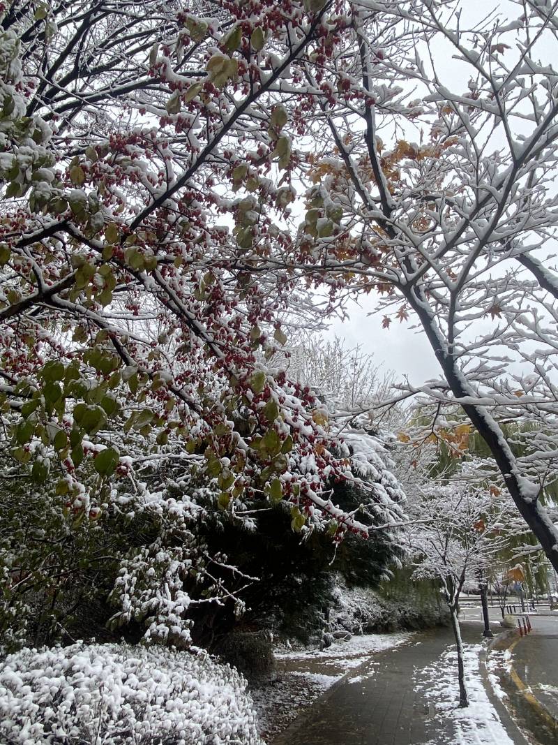 [잡담] 이게 겨우 이틀만에 벌어진 일이라니 | 인스티즈