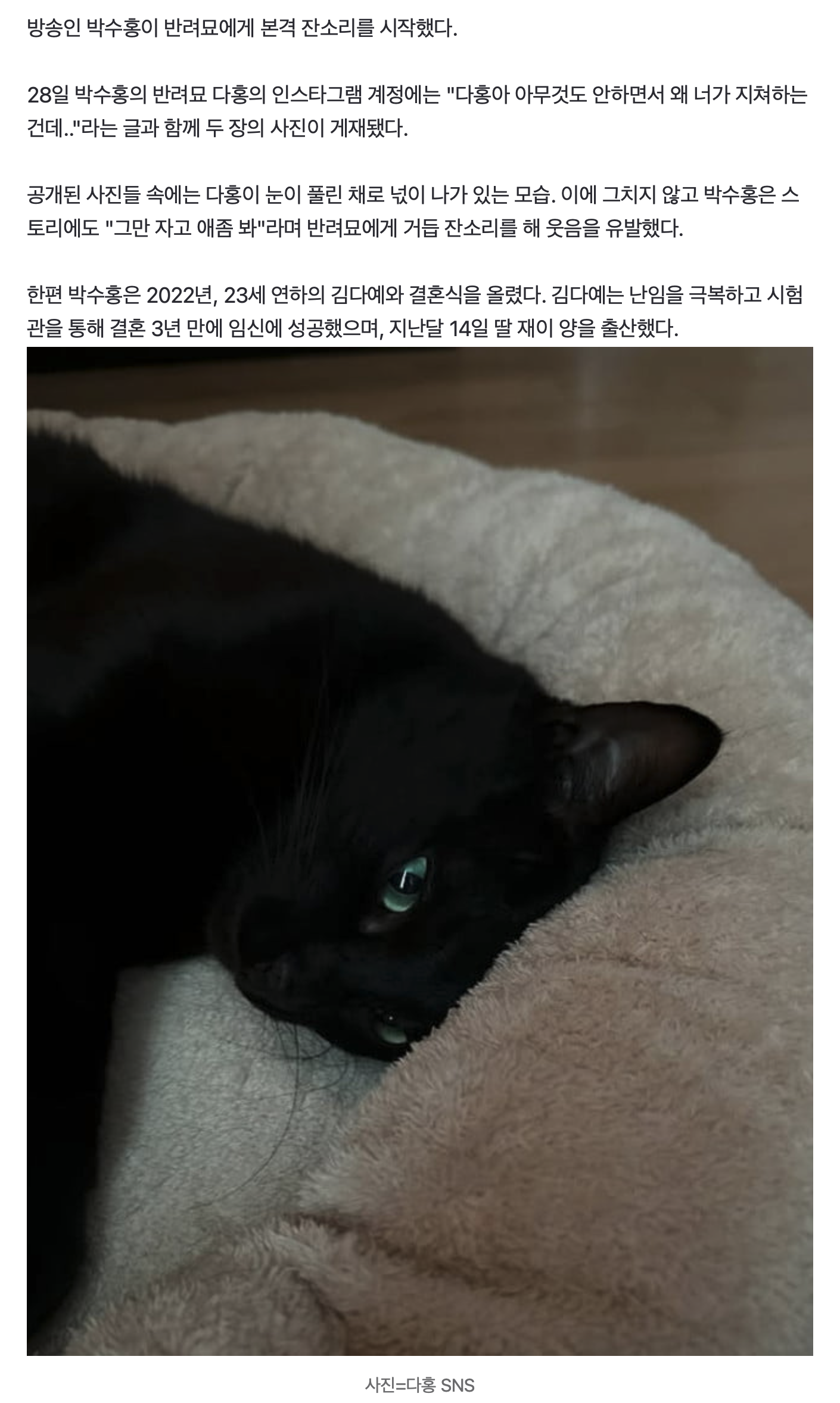 [정보/소식] 박수홍♥김다예, 반려묘 찬밥신세 만들었다…"아무것도 안 하면서" 핀잔 | 인스티즈