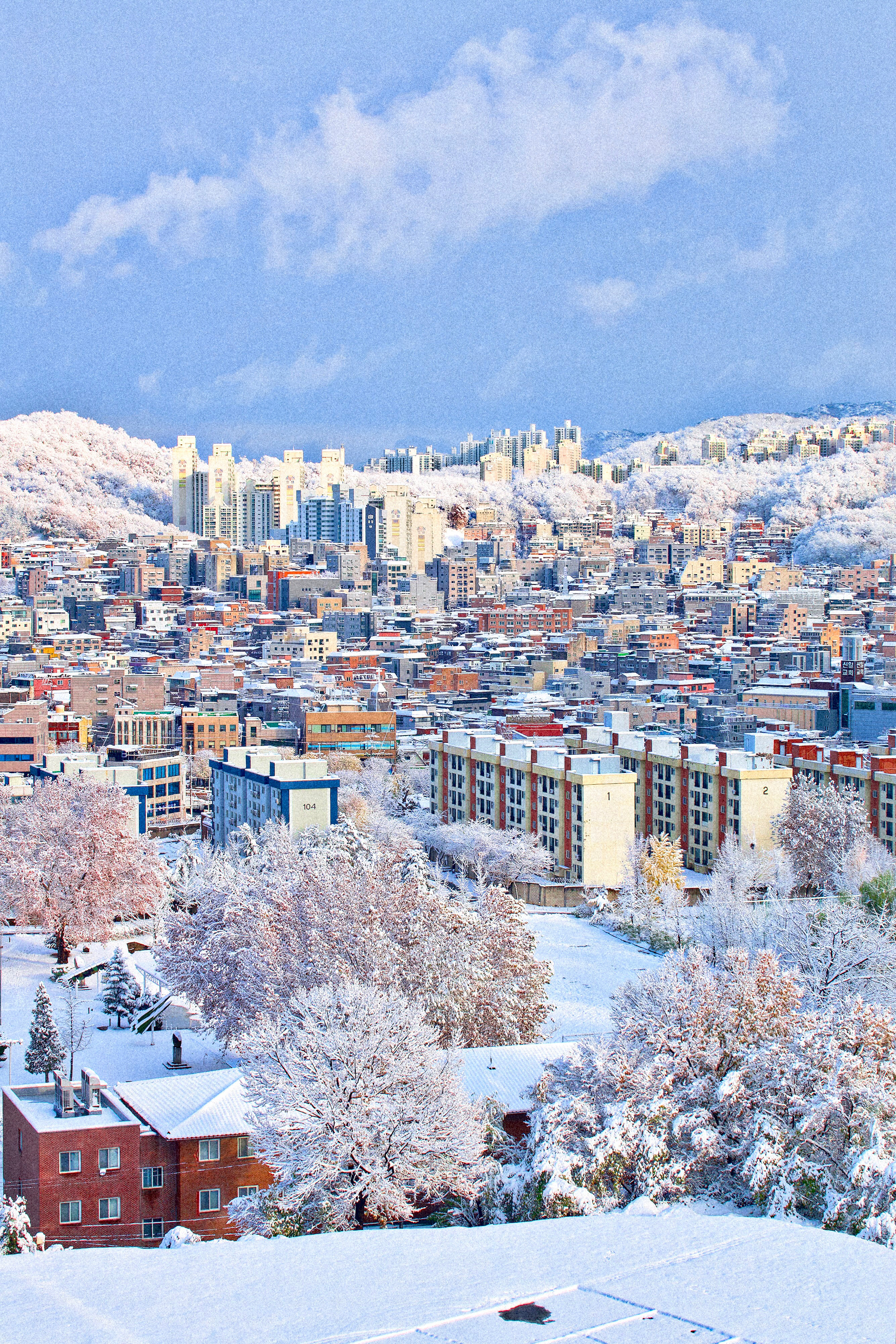 [잡담] 눈 그쳤길래 사진 찍었는데 동화같아...❄️ | 인스티즈