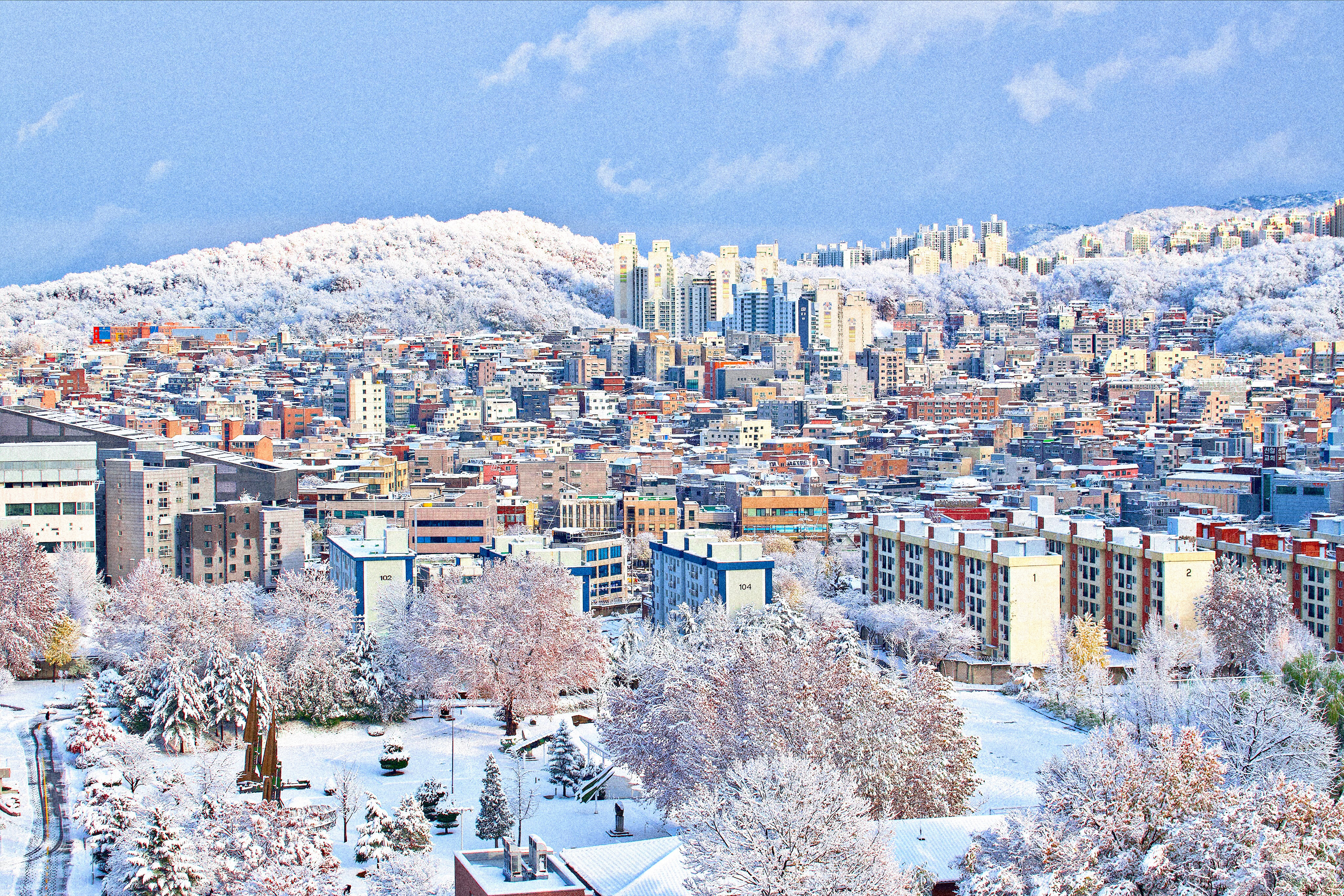 [잡담] 눈 그쳤길래 사진 찍었는데 동화같아...❄️ | 인스티즈