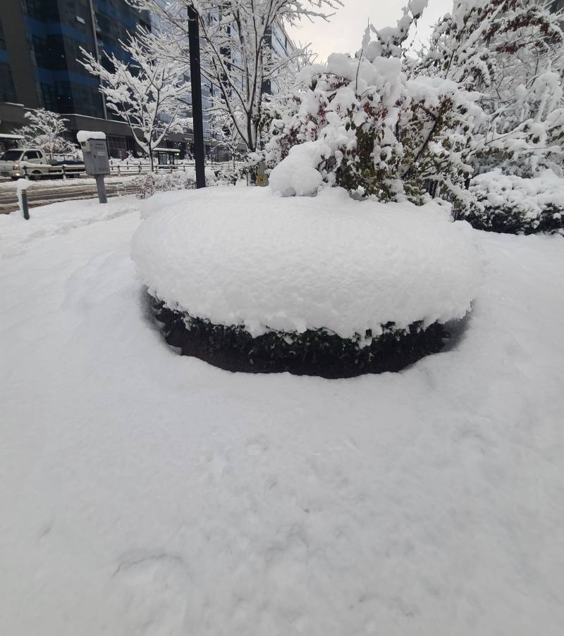 [잡담] 역대급 폭설와서 좋은건 역대급 설경을 서울에서도 본단거 하나네 | 인스티즈