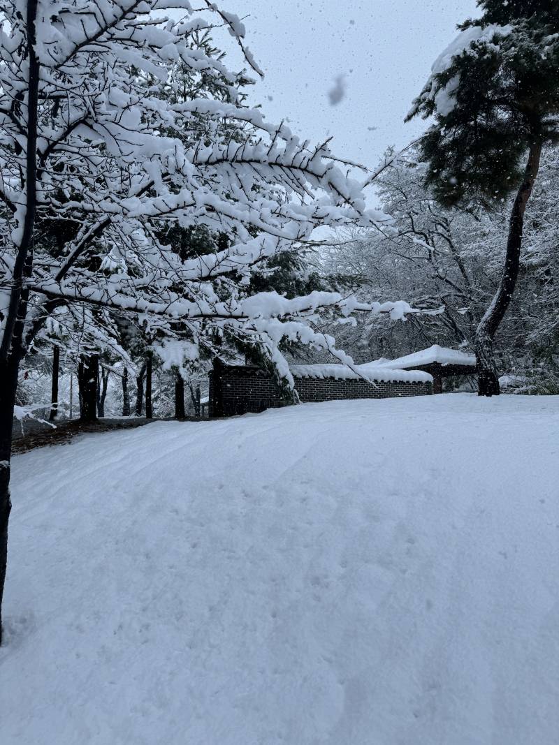 [잡담] 아니 출근길 이랬는데 우리팀 사람들 다 제시간에 옴 | 인스티즈