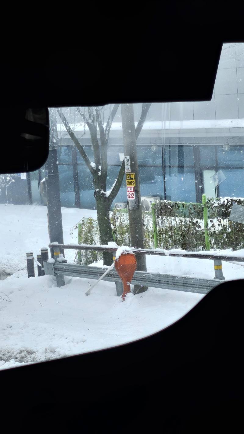 [잡담] 눈 아직 오는거 실화니...재난이다 재난 | 인스티즈