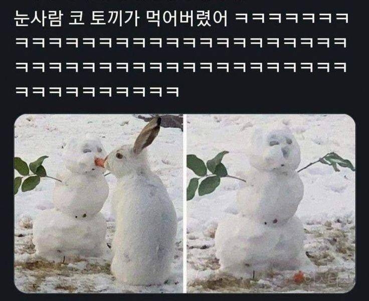 눈사람 코가 사라진 이유 | 인스티즈