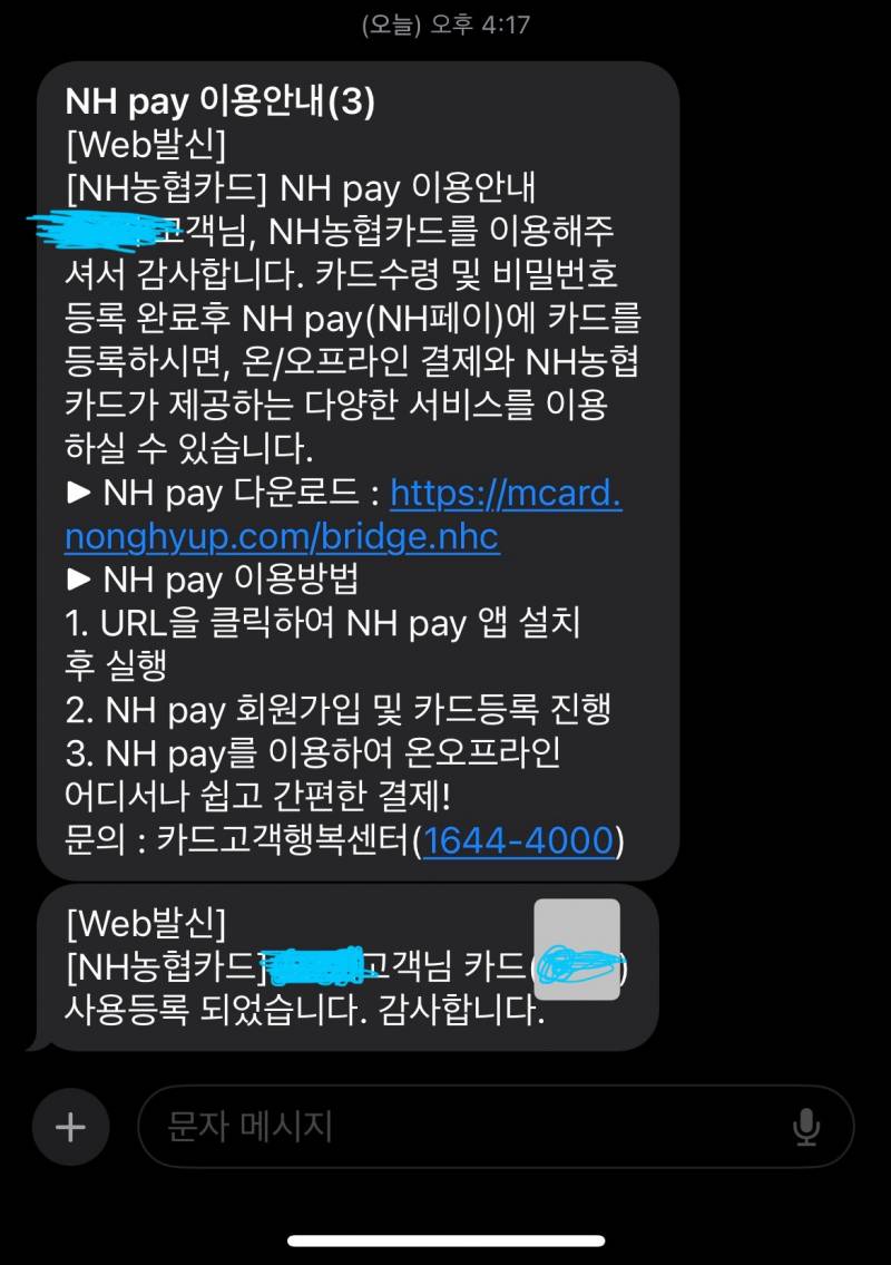 [잡담] 익들아 nh pay 이거 해야 농협 카드 사용가능해??? | 인스티즈