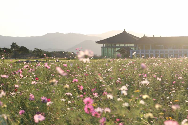 [잡담] 가을 경주 그립다 | 인스티즈