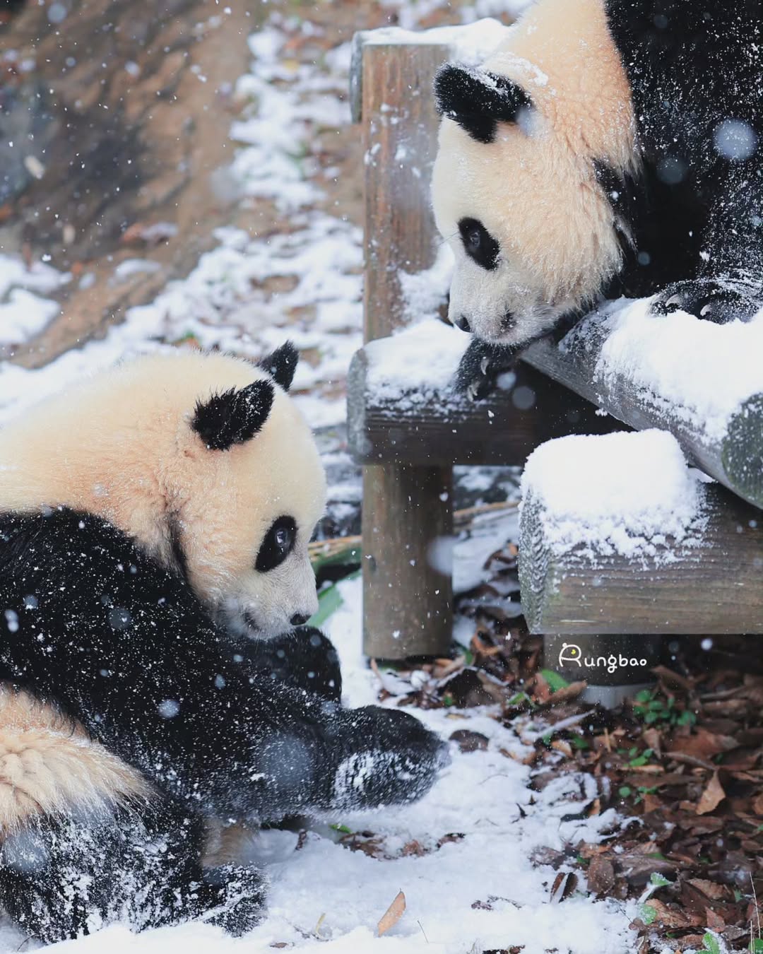 [잡담] 이 사진 너무 사랑스럽다 | 인스티즈