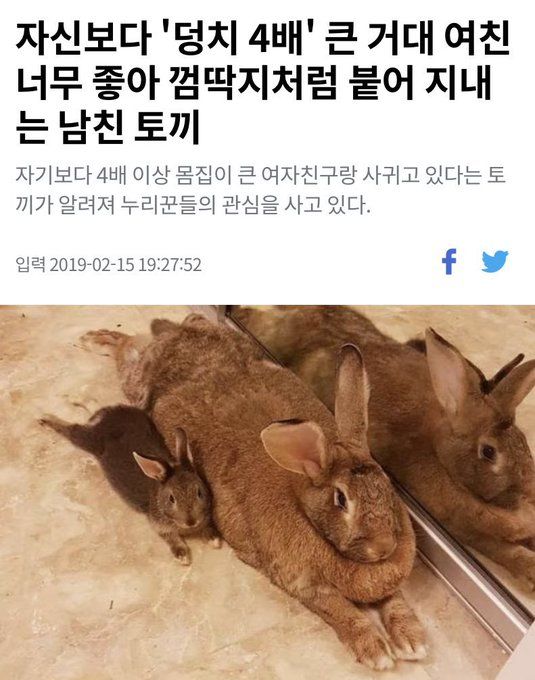 [잡담] 성찬이는 토끼임 | 인스티즈