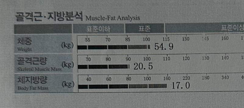 [잡담] 인바디 볼 줄 아는 익들아…❗️❗️질문데스 | 인스티즈