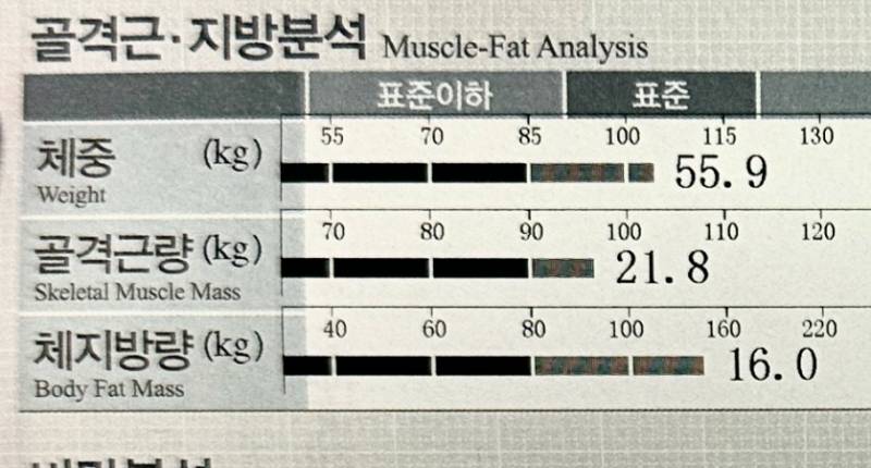 [잡담] 인바디 볼 줄 아는 익들아…❗️❗️질문데스 | 인스티즈