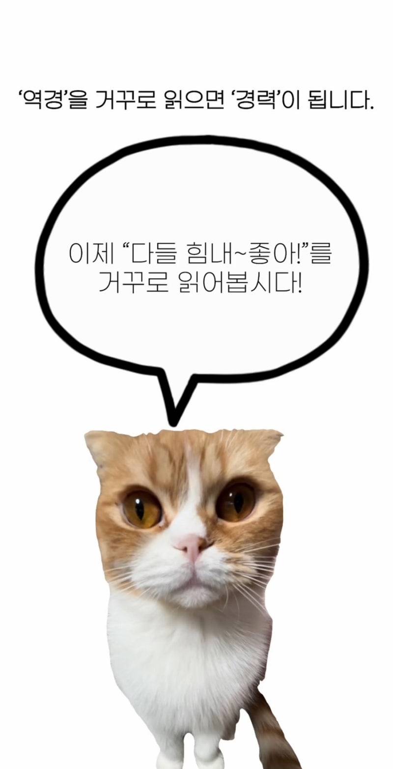 [잡담] 😮힘들때 꿀팁!! "다들 힘내~좋아!”를 거꾸로 읽어봐 | 인스티즈